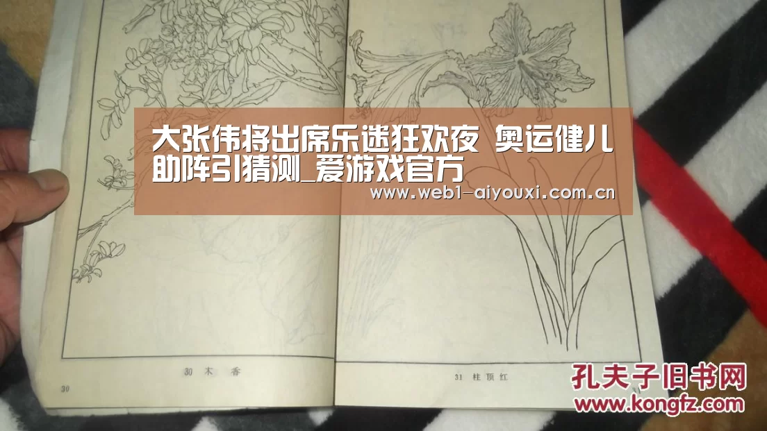 大张伟将出席乐迷狂欢夜 奥运健儿助阵引猜测_爱游戏官方(图2) 爱游戏体育全站