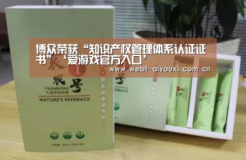 爱游戏