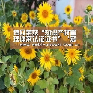 爱游戏官方入口