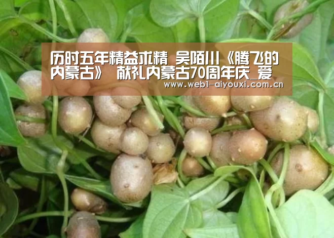 爱游戏官方